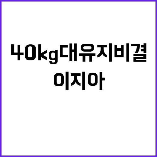 40kg대 유지 비…