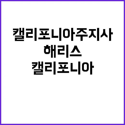 해리스 캘리포니아 주지사 출마 가능성 제기!