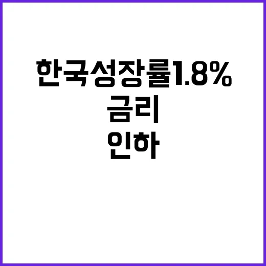 한국 성장률 1.8% 금리 인하 소식 대박!