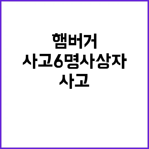 햄버거 사고 6명 …