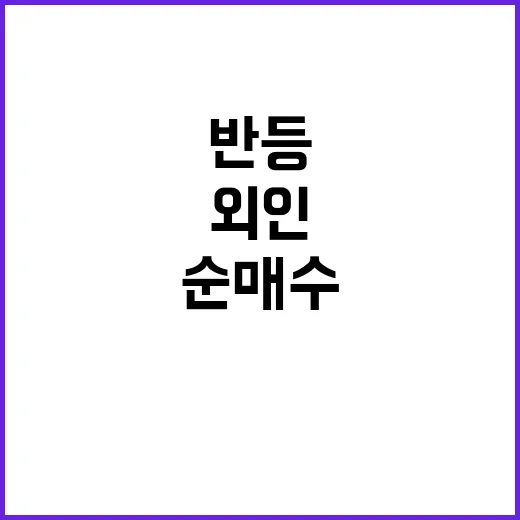 반도체주 반등 외인…