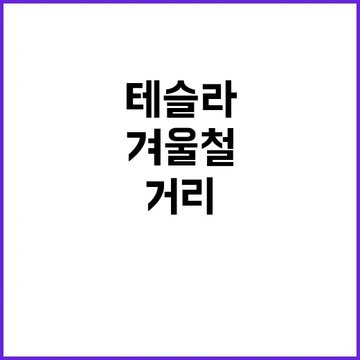 겨울철 테슬라 실주행거리 감소 이유는?