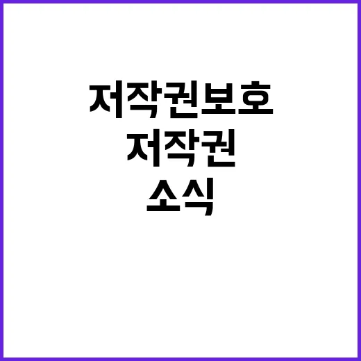 ‘저작권보호 대상’…