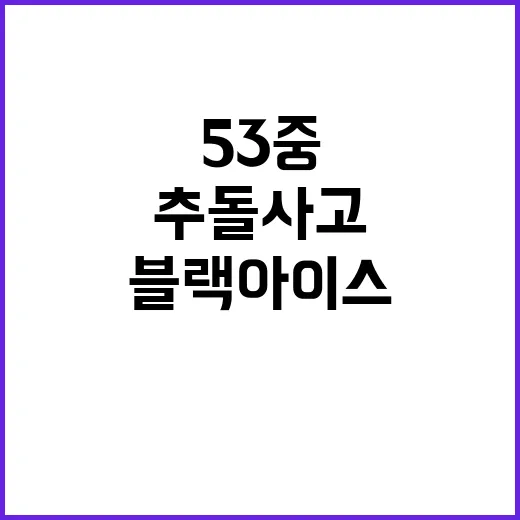 첫눈 ‘악몽’…53중 추돌사고 원인은 블랙아이스!