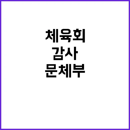 체육회 공익감사 문체부 긴장 속 특별 감사 착수!