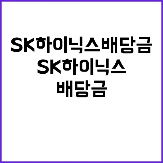 SK하이닉스 배당금 증가로 주주 환호 예정!