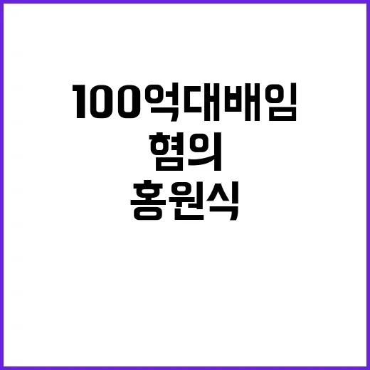 홍원식 영장실질심사 100억대 배임 혐의의 진실