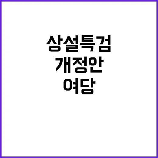 상설특검 개정안 통과 여당의 숨은 의도?