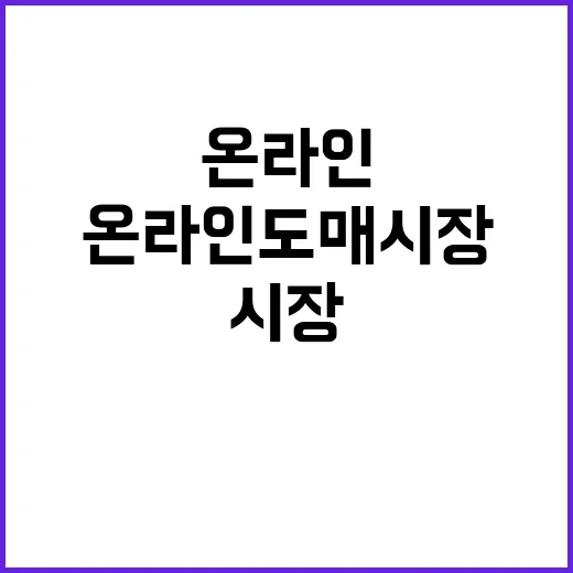 온라인도매시장 1주년 가능성과 과제 모두 확인!