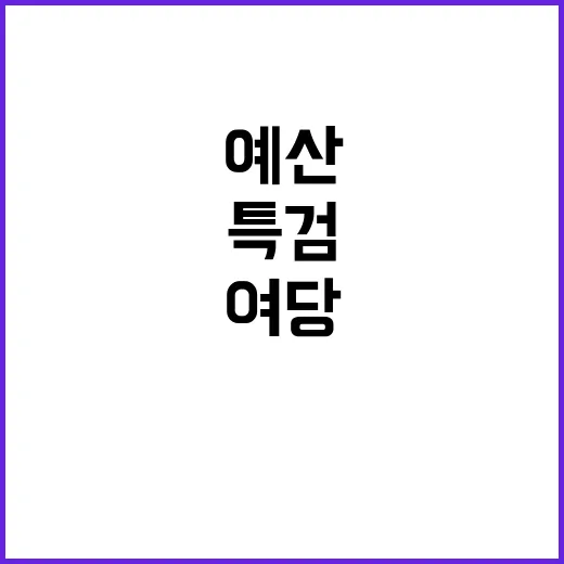 상설특검 예산과의 …