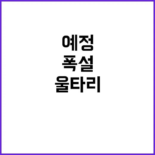 환경부 “폭설 울타리 복구 예정” 진실 공개!