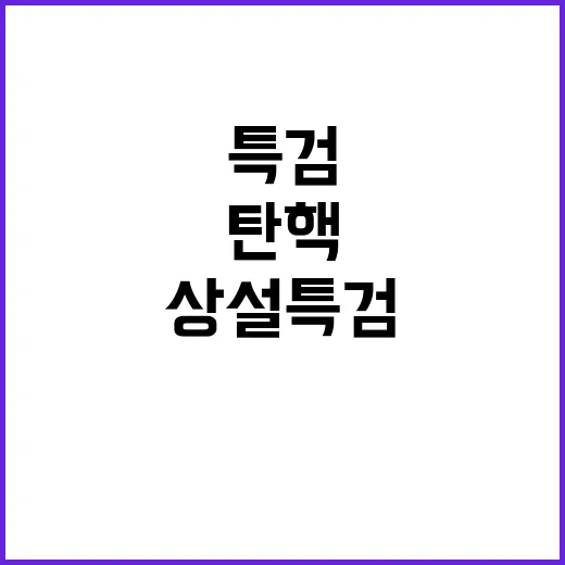 민주당 상설특검과 …