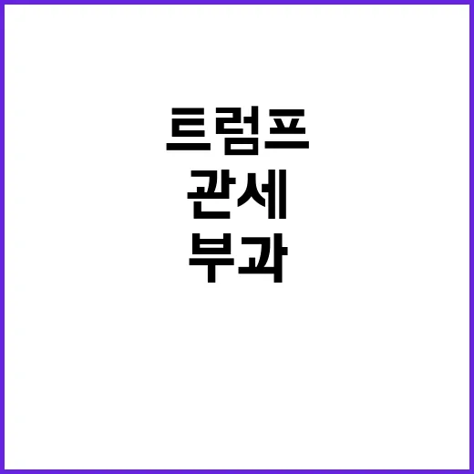 관세 부과 트럼프 …