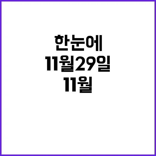 라이브투데이 11월…