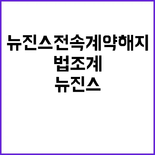 뉴진스 전속계약 해지 법조계의 경악 반응!