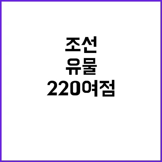 선유도 발굴 220…