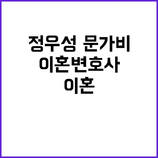 이혼 변호사 정우성·문가비 선례 바라다