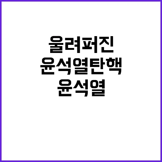 윤석열 탄핵 서울 도심에서 울려 퍼진 이유!