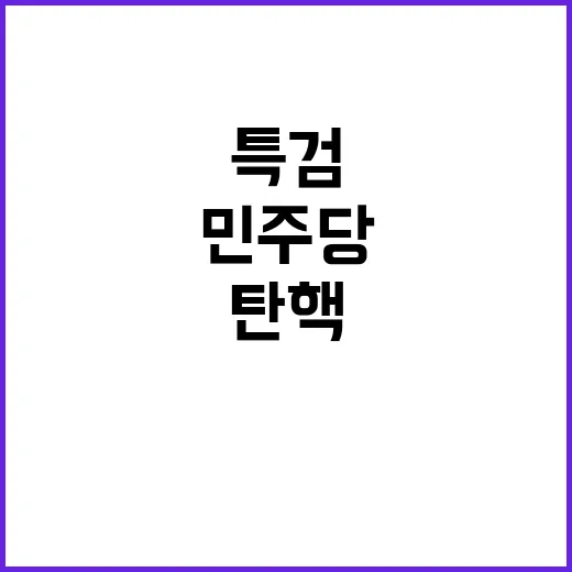 특검·탄핵 민주당의 맹공에 국민의힘 고민!