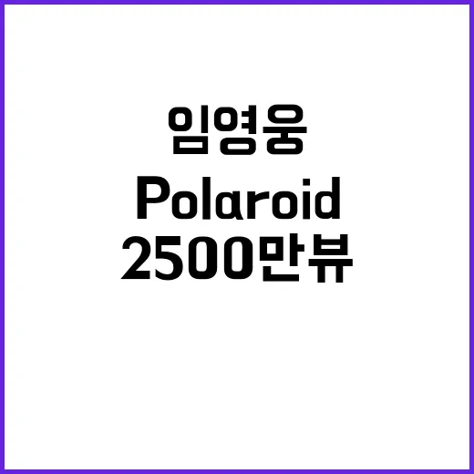 임영웅 Polaroid 뮤비 2500만뷰 기록!