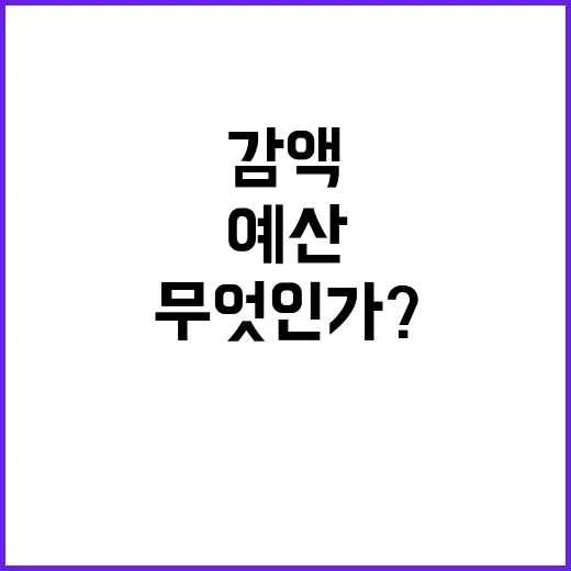 ‘감액 예산’ 방해 진실은 무엇인가? 클릭하세요!