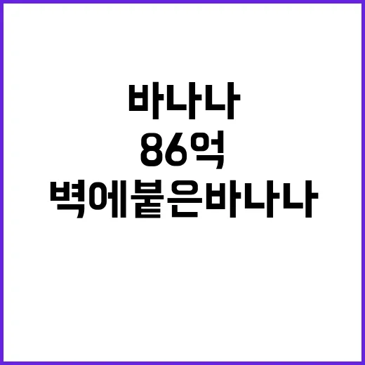 벽에 붙은 바나나 86억의 맛 궁금증 폭발!