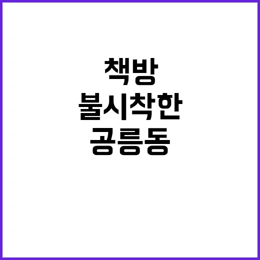 공릉동 2016년 불시착한 동네책방의 비밀!