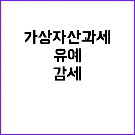 가상자산 과세 유예 초부자 감세 왜?