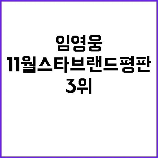 임영웅 11월 스타…