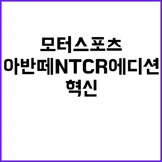 “아반떼 N TCR 에디션” 판매 모터스포츠 기술력 혁신!