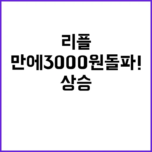 리플 83개월 만에 3000원 돌파! 어디까지 상승?