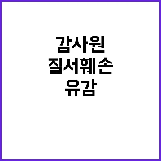 감사원 보고 헌정질…