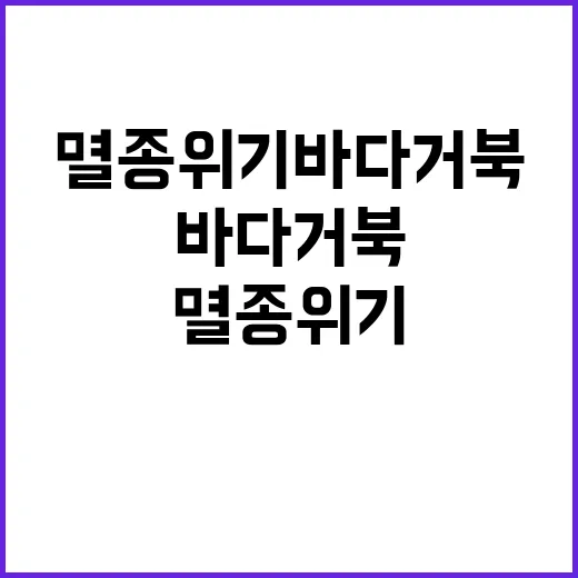 멸종위기 바다거북 사망자와 입원자 발생!