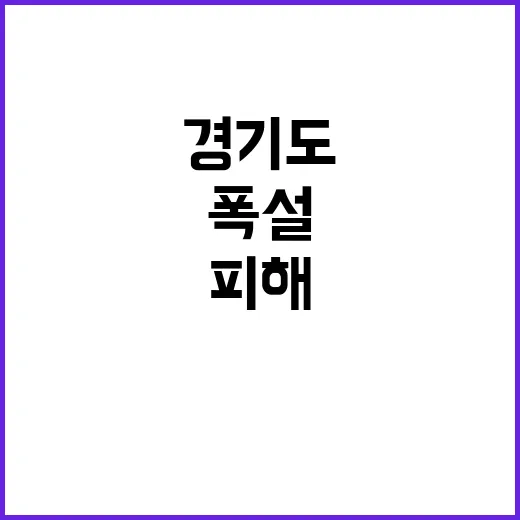 폭설 경기도 피해지…