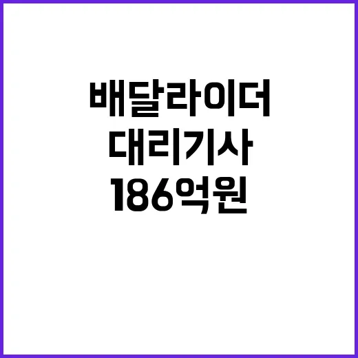 환급금 국세청 배달라이더와 대리기사에 186억원 지급!