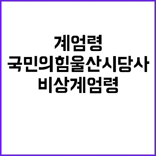 비상계엄령 국민의힘…