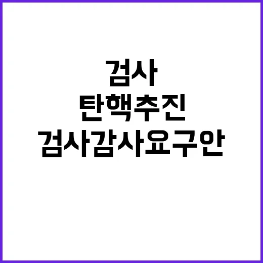 탄핵 추진 검사 감…