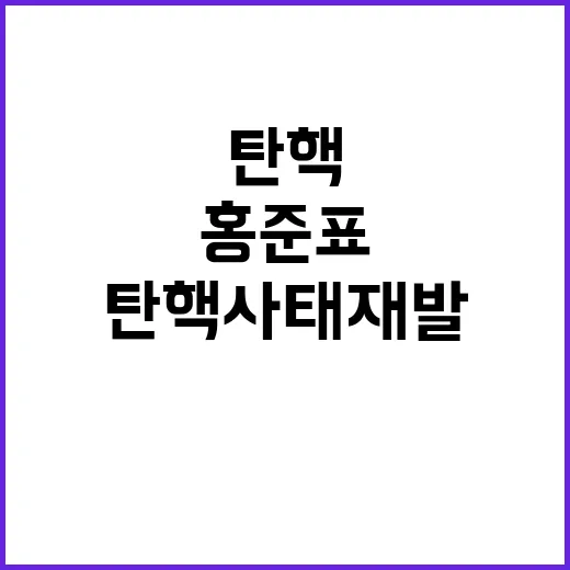 홍준표 거국내각 구…