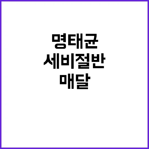 명태균 진술 세비 …