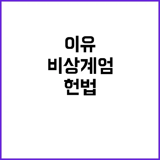 ‘비상계엄’ 헌법 내에서의 대통령실의 침묵 이유는?