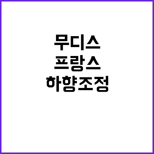 프랑스 정부 사퇴 무디스 국가 신용도 하향 조정!