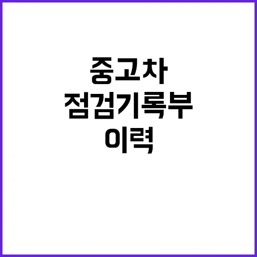 중고차 점검기록부 사고 대신 수리 이력 공개!