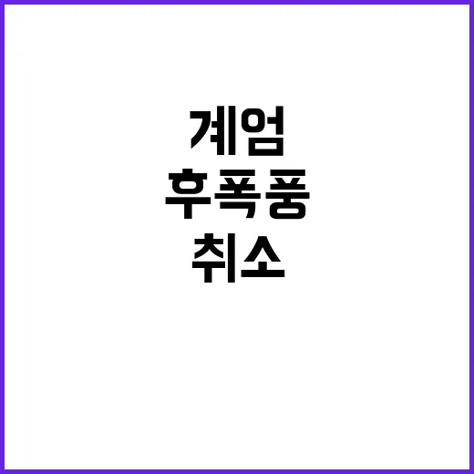 계엄 후폭풍 장관들 일정 취소로 혼란 가중!