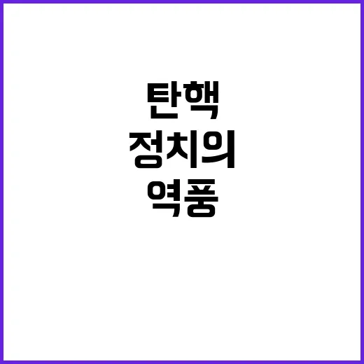 탄핵 보복 정치의 역풍이 올까?