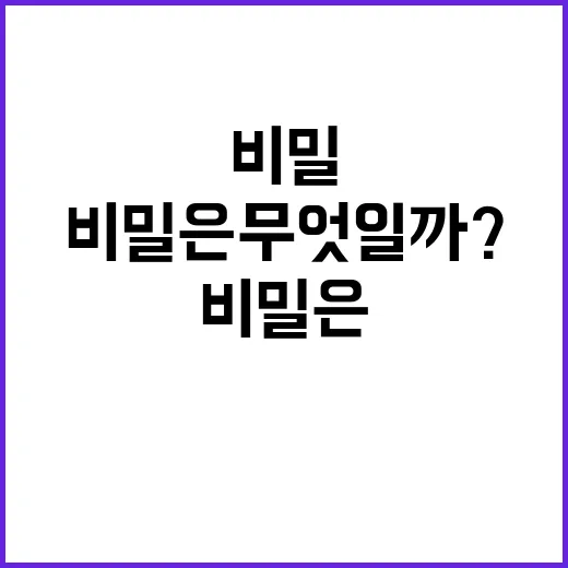 홀가분 해의 진짜 비밀은 무엇일까?