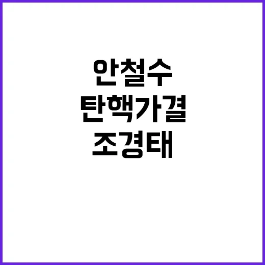 탄핵 가결? 조경태안철수의 결단 공개!