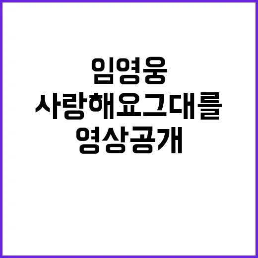 사랑해요 그대를 임영웅 공연 영상 공개!