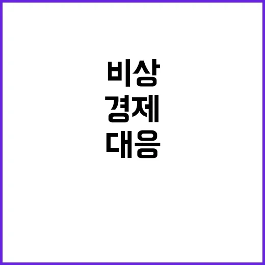 경제 비상대응체제 …