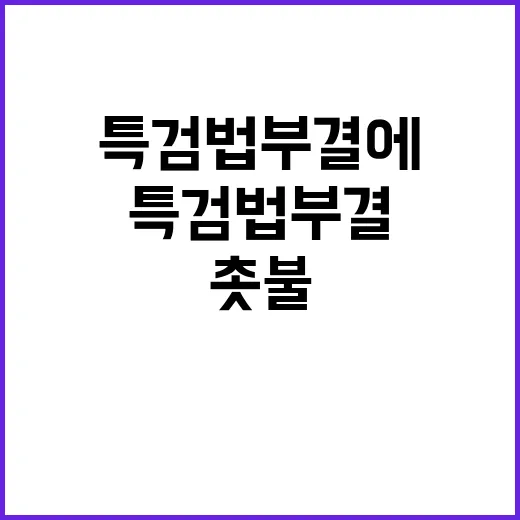 촛불 제주도에서 특…