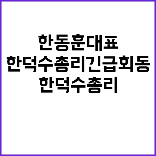 한동훈 대표 한덕수 총리 긴급 회동 전격 공개!